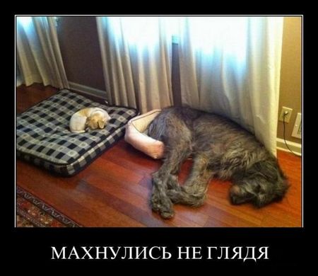 1302649894_demotivatory_11