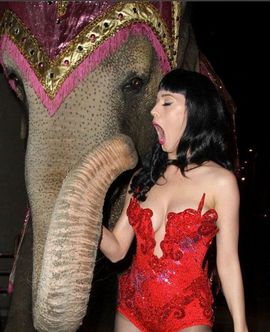 1304032992_podborka_14