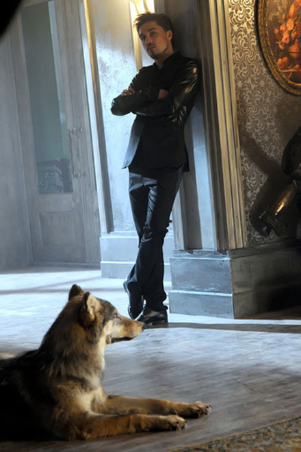 Дима Билан получил травму на съемках клипа (фото)