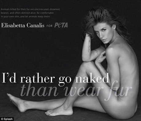 Элизабета Каналис