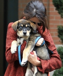 Selena-Gomez-Puppy-Toronto-4-435x580