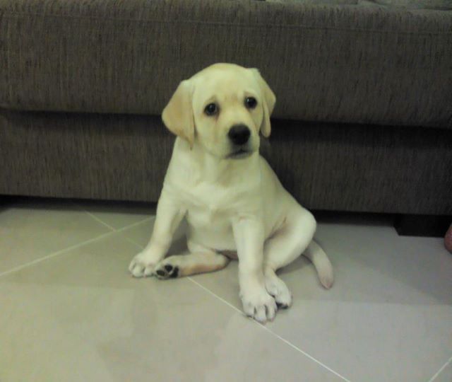 В семье Талы Калатай долгожданное пополнение!