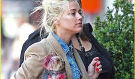 amber-heard-spy-day-with-pink-pooch-05