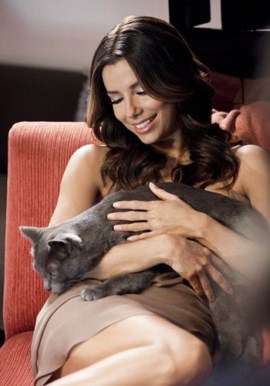 Ева Лонгория превратилась в роскошную киску