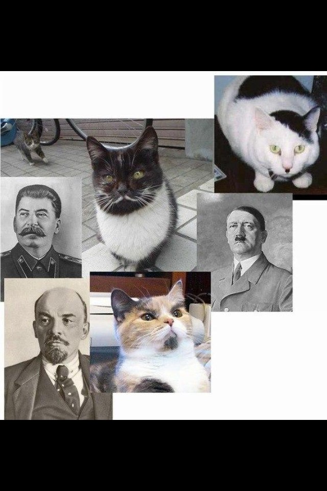 Лера Кудрявцева выложила в Twitter уморительное фото!