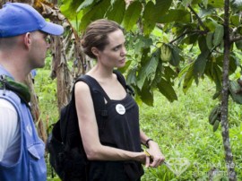 Анджелина Джоли вновь беременна