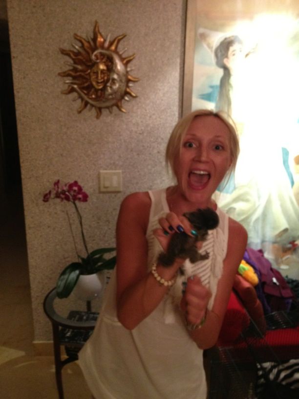 В семье Кристины Орбакайте появился еще один малыш! Никита Пресняков счастлив!