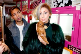 Бедняжку Леди Гагу огрели металлическим шестом по голове прямо на концерте