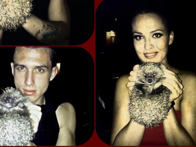 458b39c1fe87675fa9616c7270d93f72