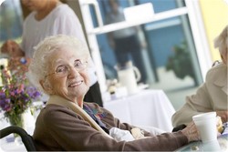 0cw8obnglahjtmu3d7eq41vis9yzkp2fx5r6 copy