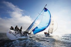 screen sb10066425z-002