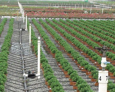 system-drip-irrigation