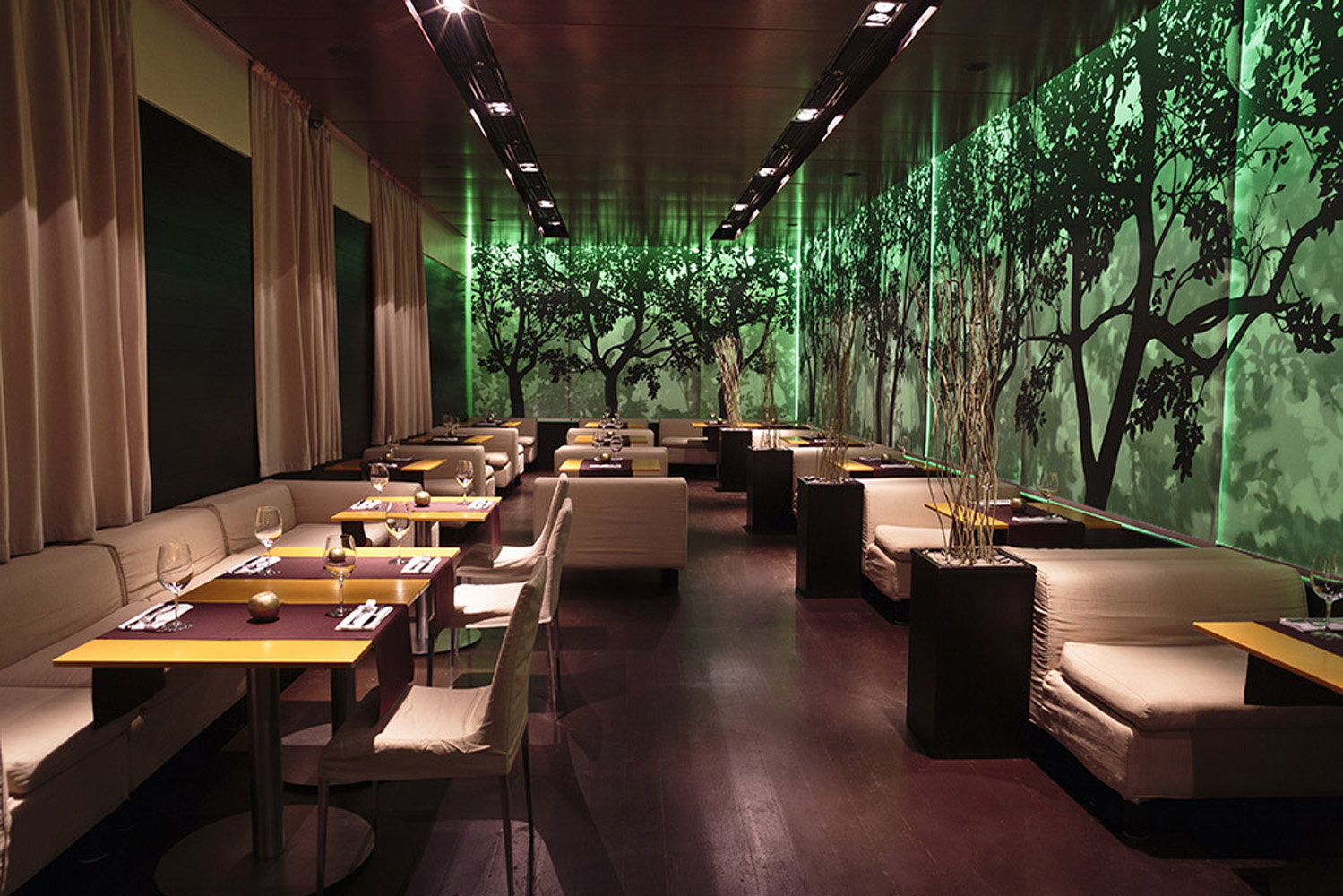 img 9733-h1000-retouch