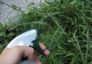 preparaty-unichtozhenija-borby-udalenija-sornjakov-4-300x211