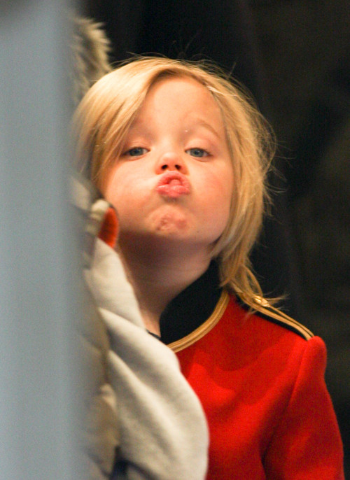 Анджелина Джоли и Бред Пит готовятся к Новому году