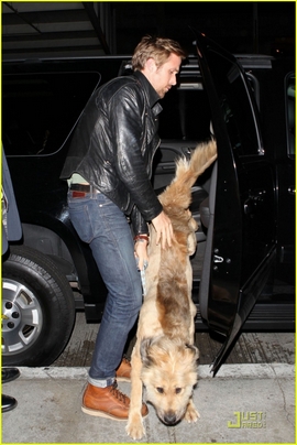 Райан Гослинг отправился в полет с собакой