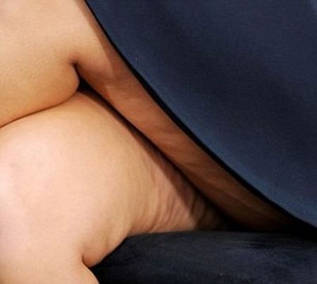 cf01a1d3477ee6deb2813d017e6369d8