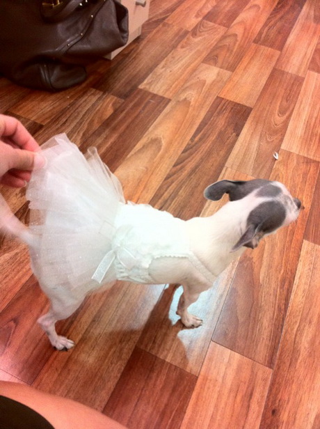  Анфиса Чехова обзавелась собственной балериной Волочковой 