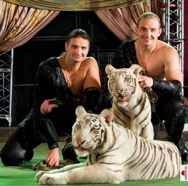 Журнал Forbes назвал самых богатых российских звезд