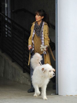 fe44cc935a8f7af40be711b8e2949f5e