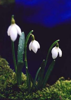 Скоро 8 Марта: что думают звездные мужчины  о женщинах