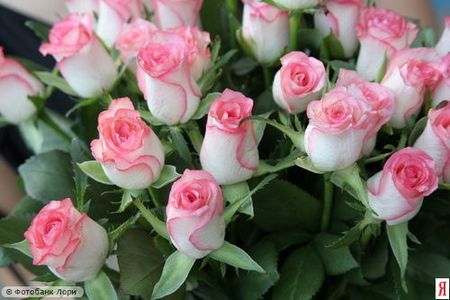 ТОП-40 самых красивых мужчин мира: третья десятка