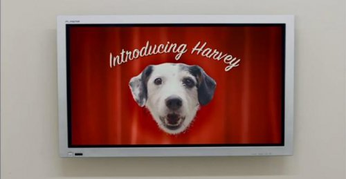 Презентация Харви