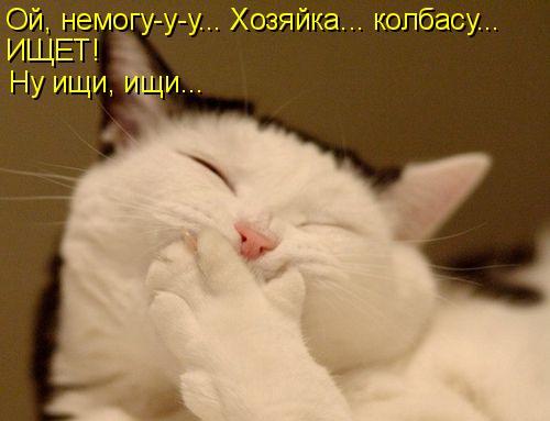 Котоматрица