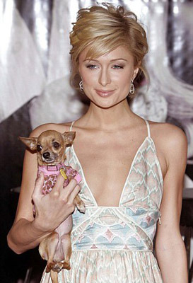 Пэрис Хилтон дали год условно