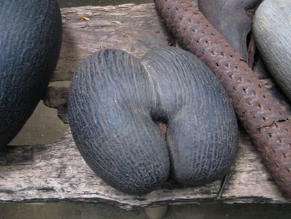 Принц Уильям и Кейт Миддлтон привезли из медового месяца секс-сувенир