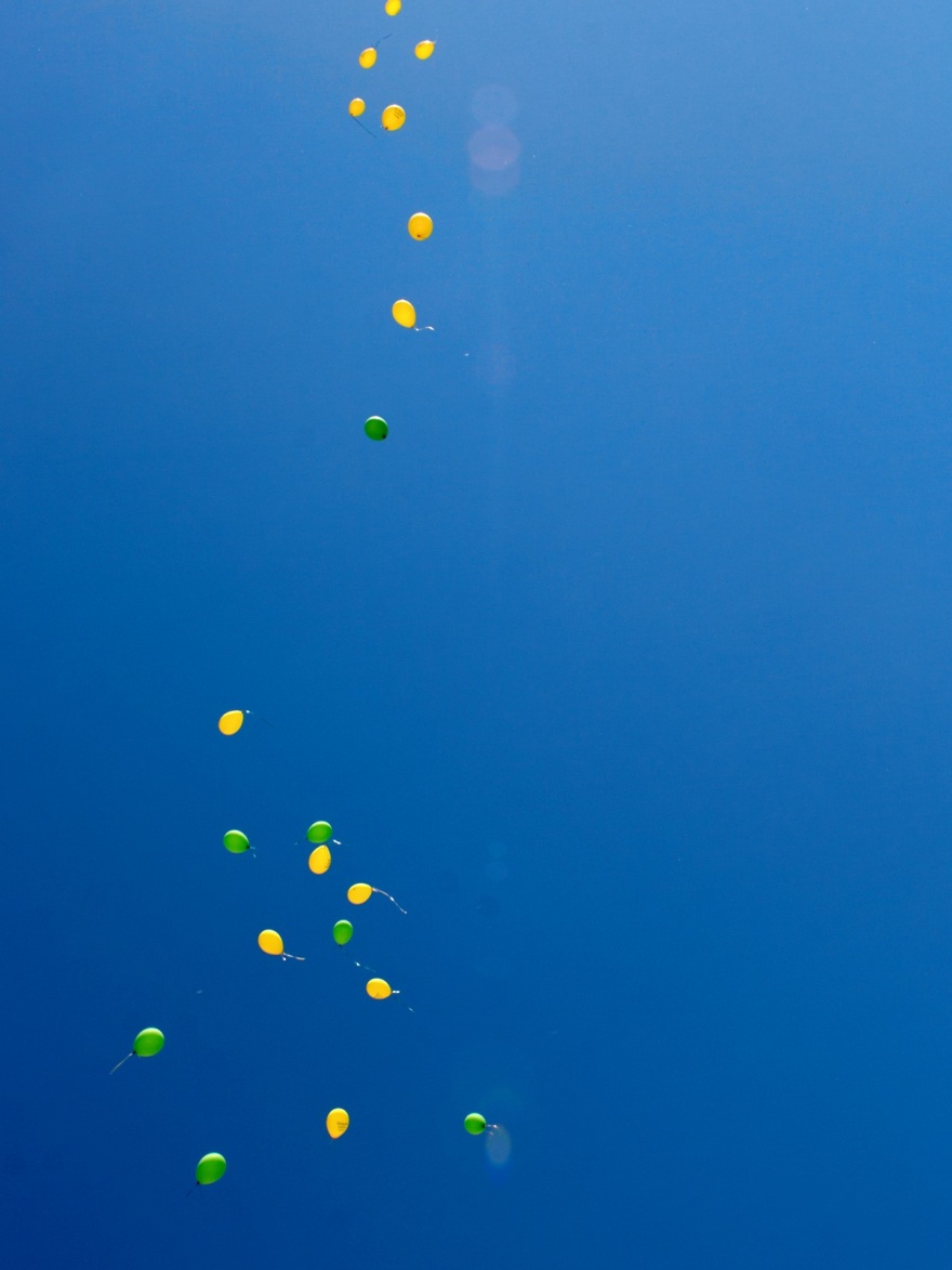 Звёздная алея древовидных пионов