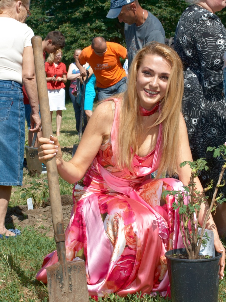 Звёздная алея древовидных пионов