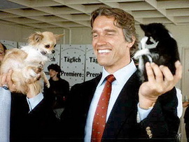 Шварцнегер: не Терминатор, а сперминатор