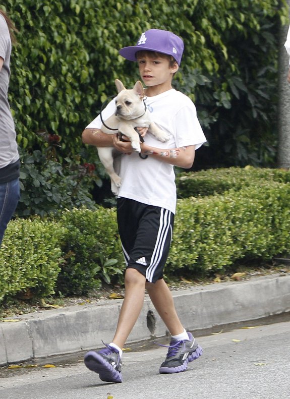Ромэо и Круз Бекхэмы на прогулке с питомцами!