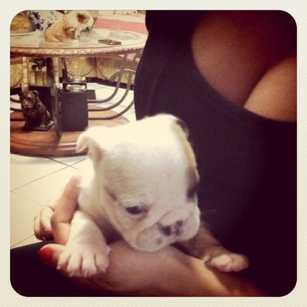 Анна Седокова: «Мы решили, что двух деток нам мало и нам срочно нужен третий!»