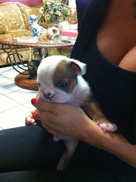 Анна Седокова: «Мы решили, что двух деток нам мало и нам срочно нужен третий!»