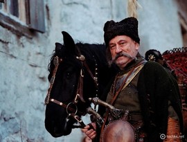 На лечение Ступки выделили больше полумиллиона гривен